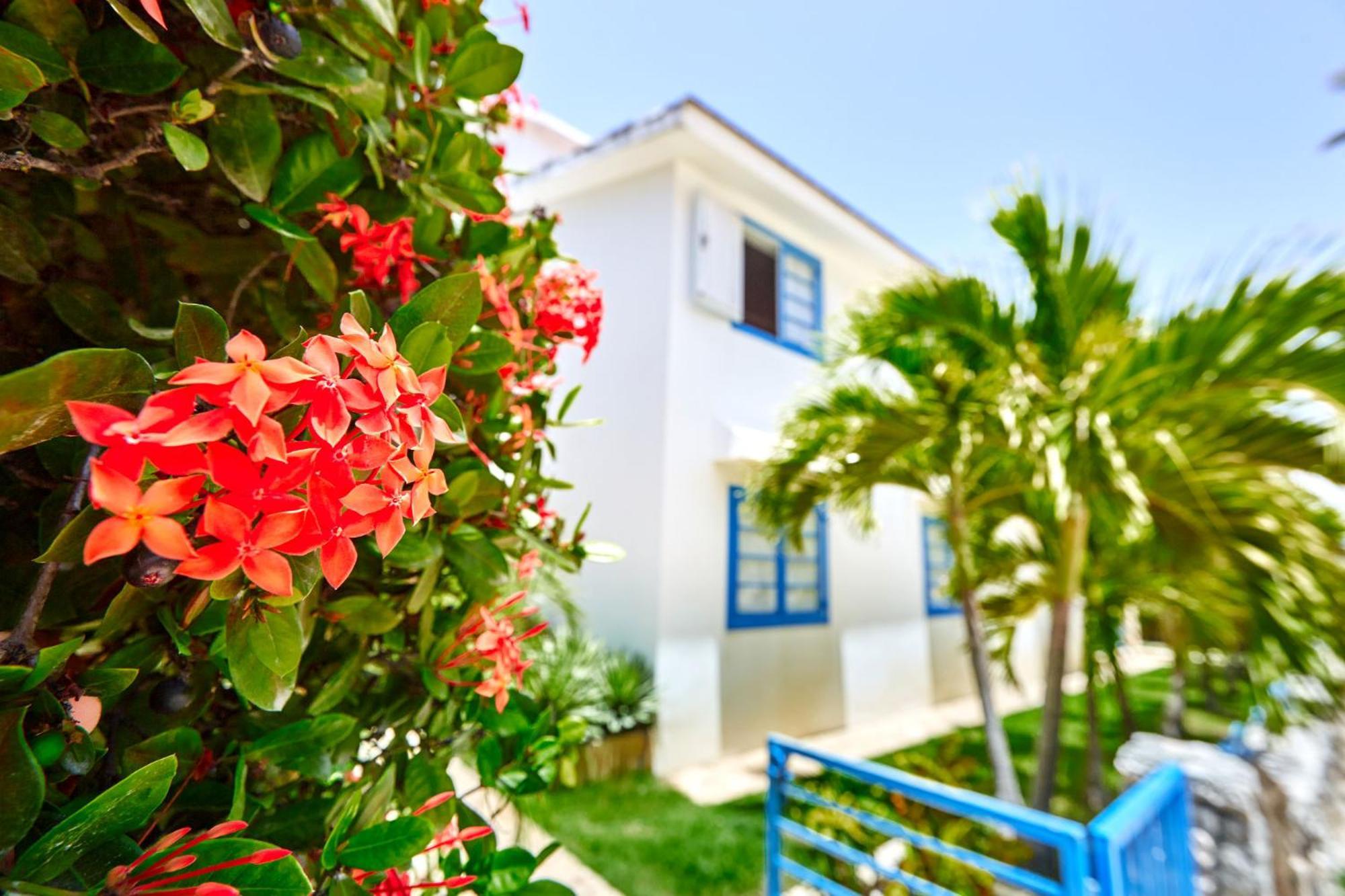 La Flor Del Caribe Beach & Spa Punta Cana Pokój zdjęcie