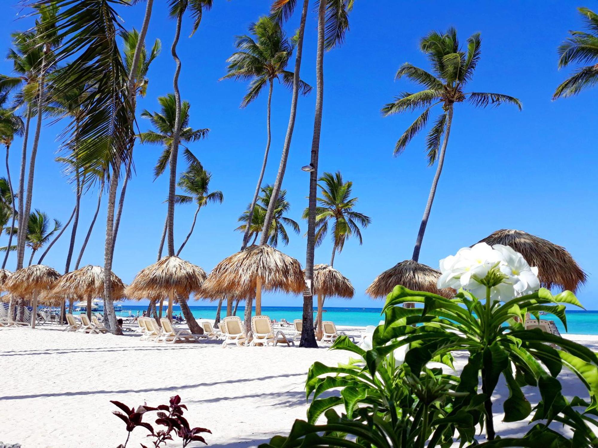 La Flor Del Caribe Beach & Spa Punta Cana Pokój zdjęcie